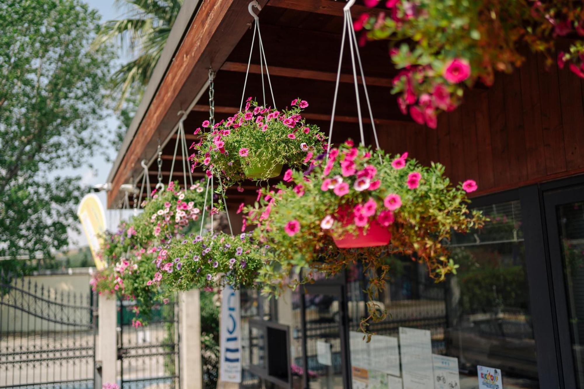 Village Lake Placid Silvi Marina Exterior photo